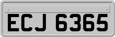 ECJ6365