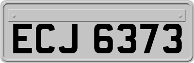 ECJ6373