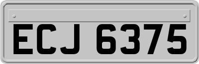 ECJ6375