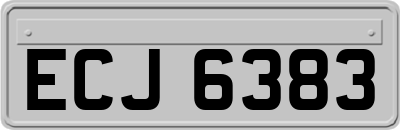 ECJ6383