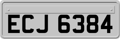 ECJ6384