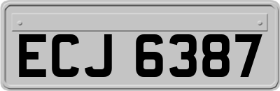 ECJ6387