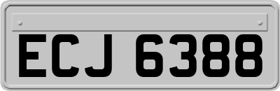 ECJ6388