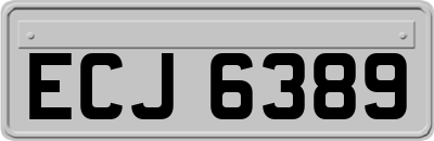ECJ6389