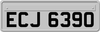 ECJ6390