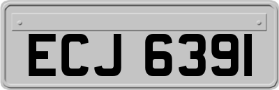 ECJ6391