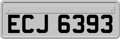 ECJ6393