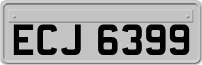 ECJ6399