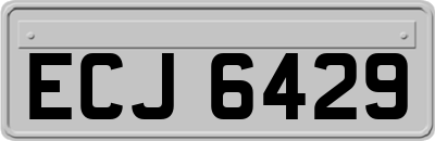 ECJ6429
