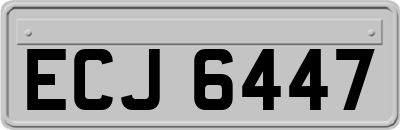 ECJ6447