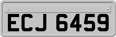 ECJ6459