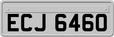 ECJ6460