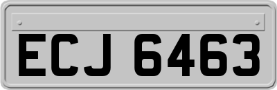 ECJ6463