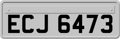 ECJ6473