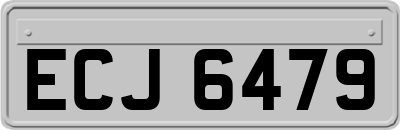 ECJ6479