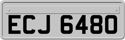 ECJ6480