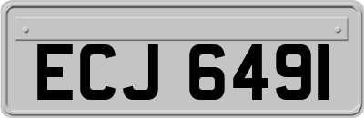 ECJ6491