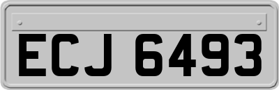ECJ6493