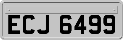 ECJ6499