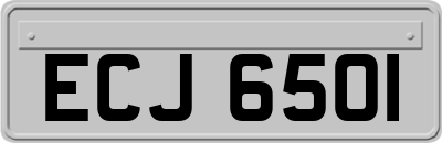 ECJ6501
