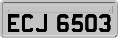 ECJ6503
