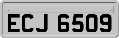 ECJ6509