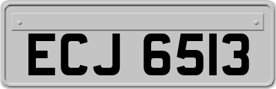 ECJ6513