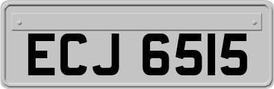 ECJ6515