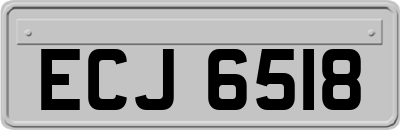 ECJ6518