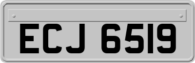 ECJ6519