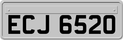 ECJ6520