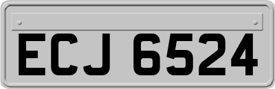 ECJ6524