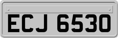 ECJ6530