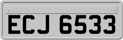 ECJ6533