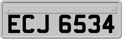 ECJ6534