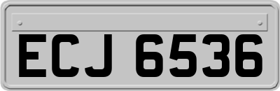 ECJ6536