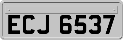 ECJ6537