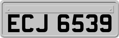 ECJ6539