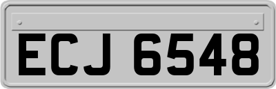ECJ6548