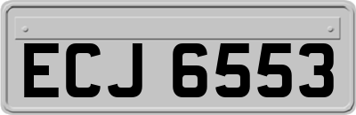 ECJ6553