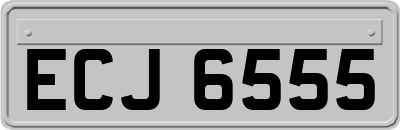 ECJ6555