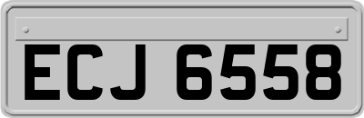 ECJ6558