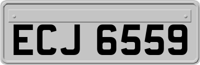 ECJ6559