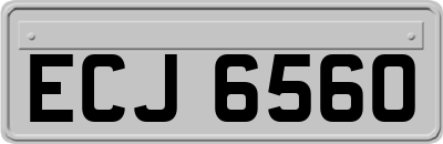 ECJ6560