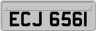 ECJ6561