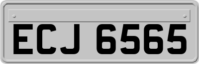 ECJ6565