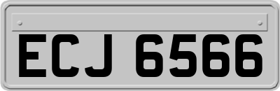 ECJ6566