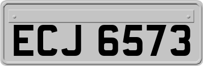 ECJ6573