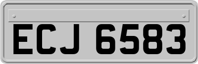 ECJ6583