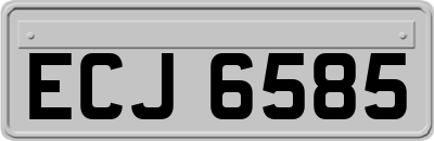 ECJ6585